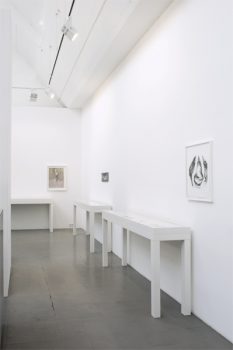 Exhibition “The Art of Watching Birds”, Galerie Barbara Thumm Berlin, 26 February – 21 April 2011