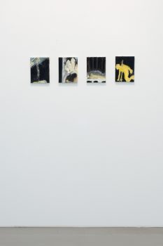 Exhibition “The Art of Watching Birds”, Galerie Barbara Thumm Berlin, 26 February – 21 April 2011